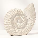 Coastal Seashell Decorative Figurine – Handcrafted Polyresin Nautical Decor Sculpture – Figurines & Sculptures Home Decor for Office, Bedroom & Living Room – 7', Whitewash