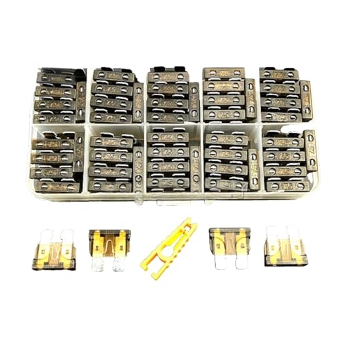 Fusibles d'assurance automobile de rechange mini moyen pour boîte auto