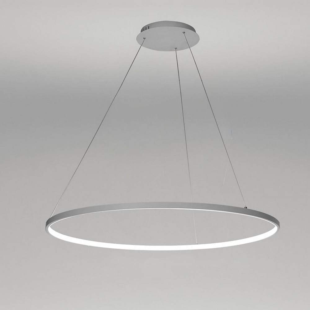 1-Light Circle Pendant Light,LED Metal Acrylic Chandelier Modern Suspended Adjustable Hanging Light for Living Room,Bedroom,Kitchen,White+WhiteLight-80cm