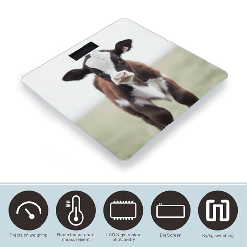 Báscula de baño digital VstaDank con pantalla LCD y vidrio templado miniatura 3