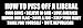 American Vinyl How to Piss Off A Liberal Own Guns Bumper Sticker (Trump GOP Conservative Anti)