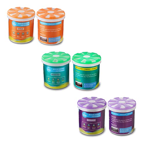 Image of BLU by Absorbia | Moisture Absorber Mini| Pack of 3 Natural Fragrances (200ml Each)| Interior Dehumidifer for Cars & Small Spaces