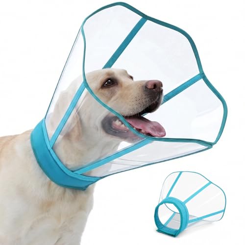 OmniPet Plastic E-Collar -- Best Traditional Hard Cone