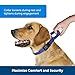 PetSafe Martingale Dog Collar with Quick-Snap Buckle - Petite, 3/8 Inch, Black