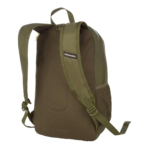 Image of Eddie Bauer Stowaway Packable Backpack | Travel | Outdoor | Lightweight | Foldable | Durable | Ripstop Polyester | 30L - Irish Green