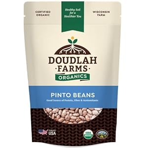 Organic Dried Pinto Beans 1 lb R...