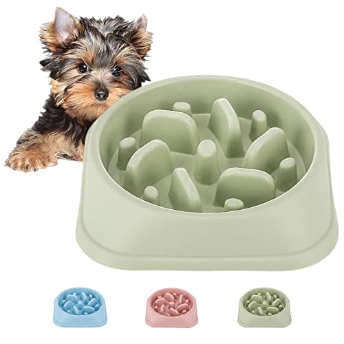 QUMENEY Hond Slow Feeder, antislip puzzel huisdier langzamere voedselvoergerechten, duurzaam voorkomen van verstikking, leuke hondenbak voor kleine en middelgrote honden (GROEN)