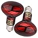 DERNORD Reptilien Rotlichtlampe Birne - 100 Watt R80 Infrarotlampe Rotlichtlampe Wärmelampe Tiere für Urzeitkrebse Schildkröten Vogelspinne Vivarium 2 Pack
