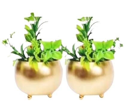 GSN Point vases Metal Gold Flower Pot (10.5x10.5x10.5 CM) (Pack of 2 Pcs) for Decoration of Flowers with Gold Powder Coated Color Flower Pot for also your Home & Garden Decoration.