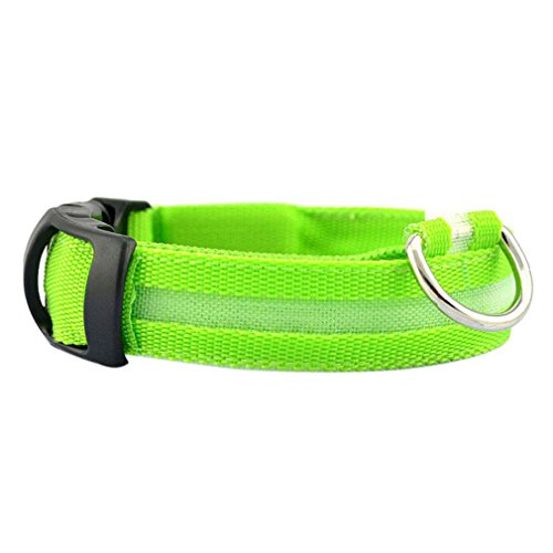 Vanvler Nylon Pet Collar, Adjustable Dog Collar Night Safety Pet Necklaces New (S, Green)