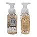Bath and Body Works Holiday Traditions Gentle Foaming Hand Soap (Set of 5)