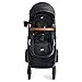 Joie Ginger DLX Travel System, 4-in-1 Stroller & Car Seat, Includes Lightweight Rue Infant Car Seat (Shale)