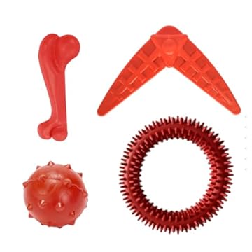 Kit 4 Brinquedos para Cachorro Cães Mordedor Divertido Ajuda a Limpar os Dentes e Destrai Pet Toys - Bola, Bumerangue, Ossinho e Anemôna Cores Sortidas
