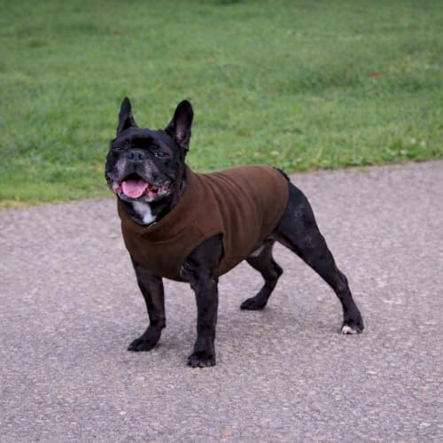 Image of JACKO & CO - Fleece Vest Dog Sweater with Leash Ring - Soft, Warm & Lightweight Pullover Coat for Small & Medium Dogs, Puppies & Cats - Cozy Fall /Winter /Spring Pet Jacket (Brown, XXL 25-35lbs)