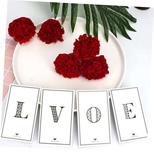 ABOOFAN 2pcs Flor Eterna Clavel Roja Secas miniatura 2
