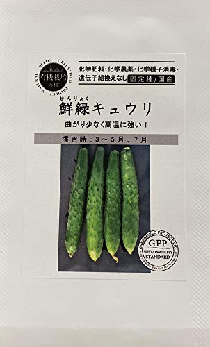 Amazon.co.jp: 自然農法の種 鮮緑キュウリ グリーンフィールド
