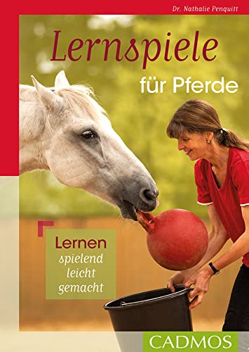 Lernspiele für Pferde: Lernen spielend leicht gemacht