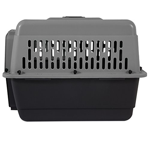 Petmate ASPEN PET Medium Breeds Cat, Chicken, Dog Kennel, Various Sizes, Transport, Dark Gray/Black, Made in USA by Petmate - Image 2