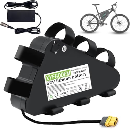 Batterie lithium e-bike 48V grande autonomie avec BMS de protection pour moteur