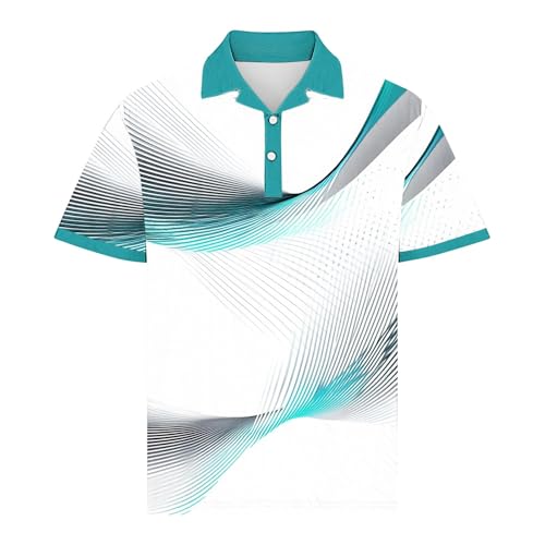 Men's Polo Shirts Short Sleeve Button Collar Geometry Printed Golf Tshirts Big and Tall Business Casual Fashion Tops4
