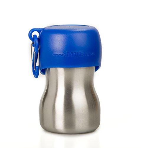 KONG H2O KG95BLU Stainless Edelstahl Wasserflasche, 0.28 L, S, blau