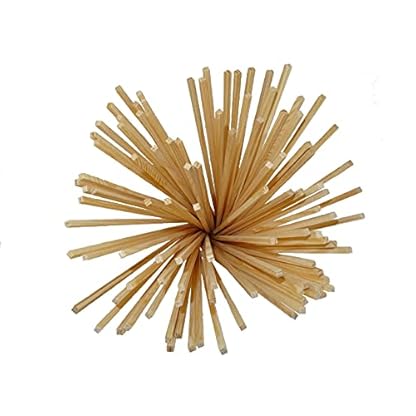 Gaumenshop® Zucker für Zuckerwatte und Zuckerwattemaschine (4x250 g + 50 Stäbe) mit Geschmack Apfel, Erdbeer, Heidelbeere, Vanille – Bild 8