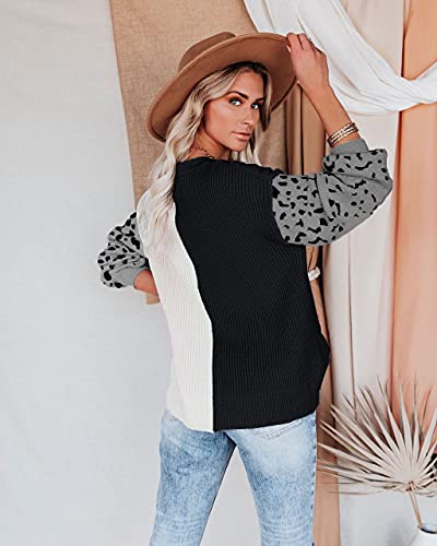 Image of ANCAPELION Women's V Neck Sweater Pullover Leopard Long Sleeve Basic Color Block Jumper Casual Knitted Tops