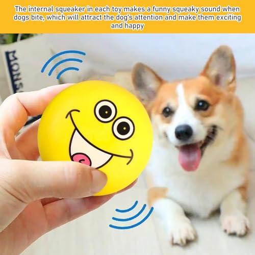 BORDEAG Quietschball Für Hunde, 6 Stück Hundeball Unzerstörbar, Hundespielzeug Ball, Dauerhaftes Quietschende Hundebälle, Weiches Latex Bouncy Fetch Bälle Für Große, Mittelgroße, Kleine Hunde