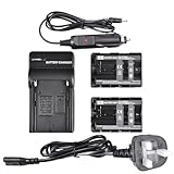 DSTE 2pcs NP-FM500H Li-ion Battery + Charger Compatible with Sony BC-VM10,Alpha SLT-A57,A65,A65V,A77,A77V,A99,CLM-V55,DSLR-A100,A200,A300,A350,A450,A500,A550,A560,A580,A700,A850,A900 Digital Cameras