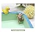 Selena Hermit Crab Climbing Toys Small Bathtub Water Basin Food Bowl with Cute Duck Decorations Hermit Crab Tank (White)