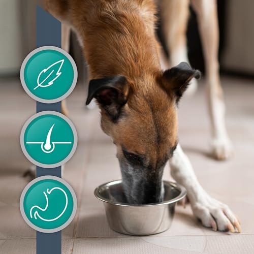 VetExpert Hypoallergenic, Hund, Diätfutter, Pferd, 400g, Alleinfuttermittel