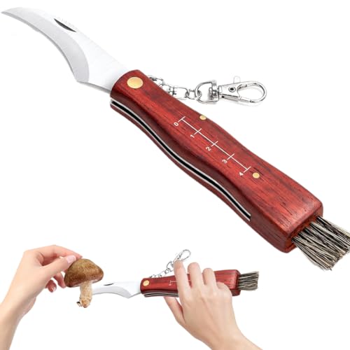 Pilzmesser mit Bürste – Klappbares Schwammerlmesser [21cm im ausgeklappten Zustand] mit Pinsel & Lineal, Hochwertiges Edelstahl Pilz Messer mit Holzgriff & Schlüsselanhänger, Geschenk für Pilzsammler