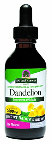 Nature's Answer Dandelion Root Extract 2 Oz – Low Organic Alcohol, Detox & Liver Support Supplement – Made in USA, Kosher, Gluten Free – Dandelion Root Supplement Nature's Answer Dandelion Root Extract 2 Oz – Low Organic Alcohol, Detox & Liver Support Supplement – Made in USA, Kosher, Gluten Free – Dandelion Root Supplement