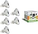 Produktbild GreenSun LED Lighting 6X AC/DC 12V MR11 GU4 3W 12 * 2835SMD LED Spot Gluehbirne Strahler Lampe Leuchte Warmweiss