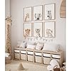 Nursery Animal Wall Art Decor Baby Safari Canvas P... #3