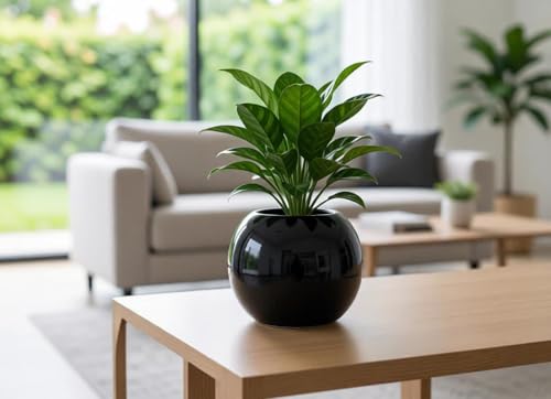 Lasaki Peblo Big Black HT Ceramic Pots for Indoor Plants, Planters,gamla,Outdoor,Balcony,Home,Round,Garden, Office Decor,Succulent(H - 8.5 X D - 11 cm)(Plants not Included)