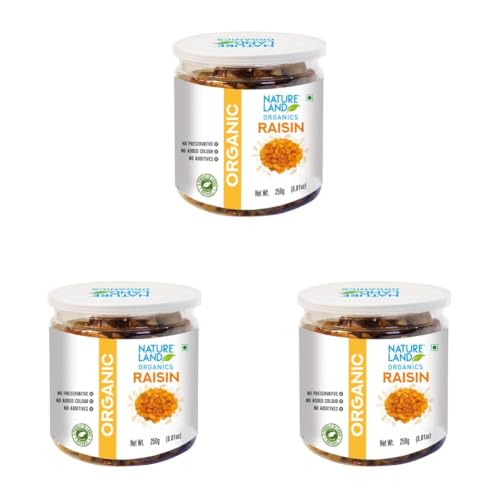 Image of Natureland Organics Raisins Jar, 250 g (Pack of 3)