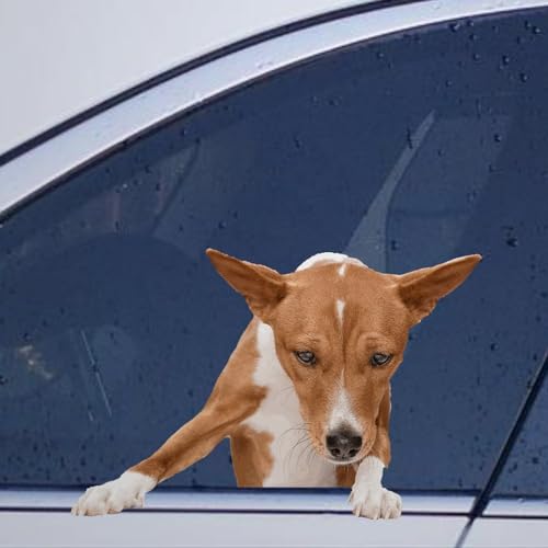 Image of Basenji Dog Stickers - Car & Laptop Decals, Funny Animal Pet Lover Gift Vinyl Die Cut Decals