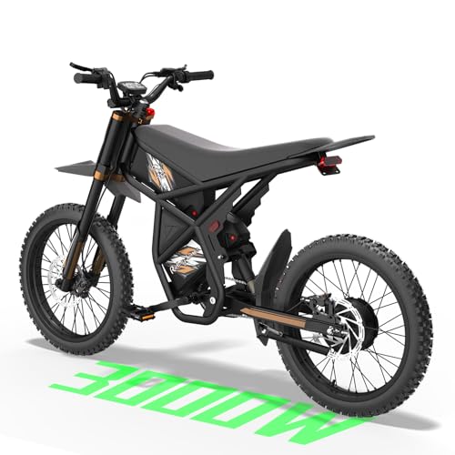 Bootime 3000W GT54 PRO/ GT54 Electric Dirt Bike for Adults Teens - 50/37 MPH High-Speed 14 Fat Tires & Dual Removable Battery(60V/48V) | All-Terrain Off-Road eBike for Snow Sand