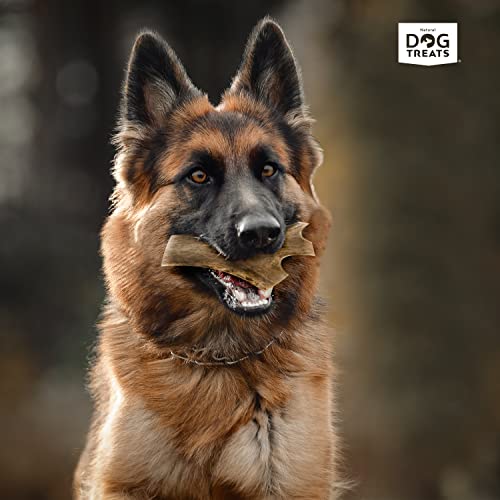 Natural Dog Treats - Damhirschgeweih für Hunde - Natürlich Kauknochen Hund - Geweih für Große Hunde - Kaustangen Hund - Kauspielzeug und Zahnpflege - Hundespielzeug - Große Größe (101-150g)