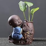 ❀Profitez de l'ancienne tradition en cultivant votre propre jardin zen, créez des motifs sans fin. Utilisé comme cadeaux Feng Shui, cadeaux de mariage, cadeaux aux amis et aux parents, décoration de la maison, magasins, hôtels, décoration de clubs de yoga