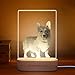 Hamharfe Personalized Cat Memorial Gifts Light Up Picture Frame Custom Photo Night Light Loss of Dog Sympathy Gift Pet Passing Away Gift for The Pet Loverâ€¦