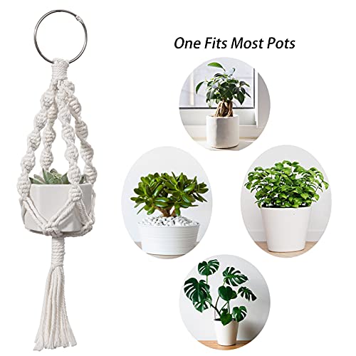 HBselect set da 2-4 Pcs Vasi Sospesi per Piante in...