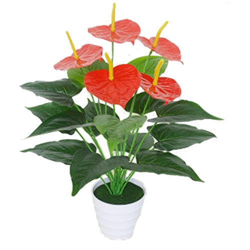 観葉植物 幸福の人気商品 通販 価格比較 価格 Com