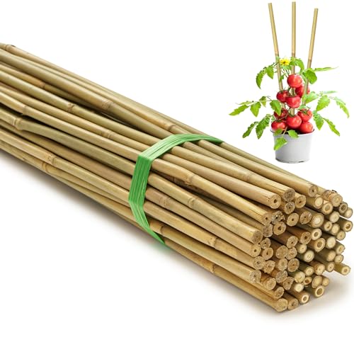 SWANGSA 65 Pack 6 Feet Garden Bamboo Stakes for Plant Support Garden Poles for Tomatoes Beans Flowers Potted Indoor and Outdoor Climbing Plants