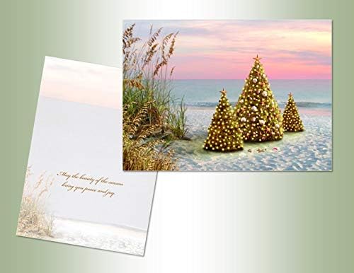Performing Art Beach Christmas Card Boxed With Envelopes - Coastal Christmas Card -Full Color Inside - Beach Themed Holiday Greeting Cards -18 Cards With Envelopes - Made in the U.S.A.