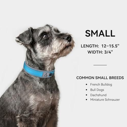 Image of Joytale Dog Collar for Small Dogs, Neoprene Padded and Adjustable, Reflective Wide Heavy Duty Pet Collars with Durable Metal Belt Buckle for Walking, Sky Blue, S