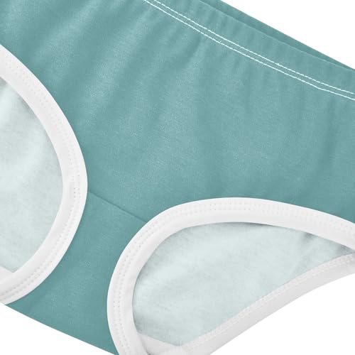 Joisal Cotton Toddler Girls Underwear Cadet Blue Panties for Girl Bright Briefs Girls Undies 2t4
