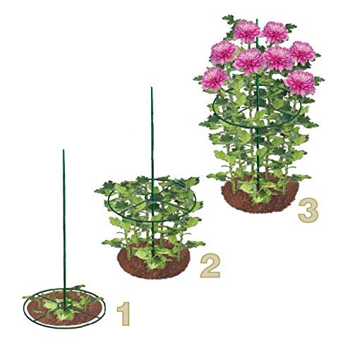 Gardening Naturally Green Plant Support Rings Pack Of 3 (30cm (12"))