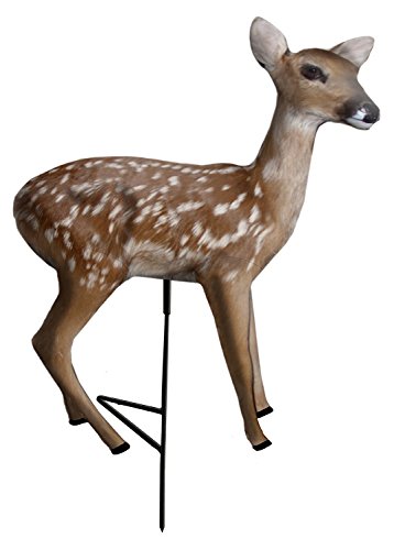Primos Frantic Fawn Predator Decoy, Powered Decoy Heart